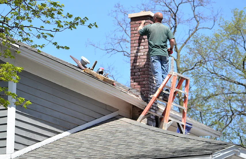 Chimney & Fireplace Inspections Services in Petaluma, CA